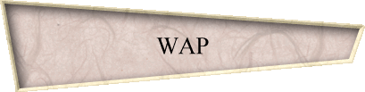 WAP